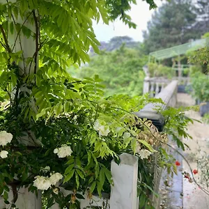 Homestay Ananda Huo